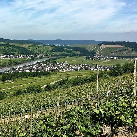 Gaestehaus Hoffmann Farschweiler Екстериор снимка